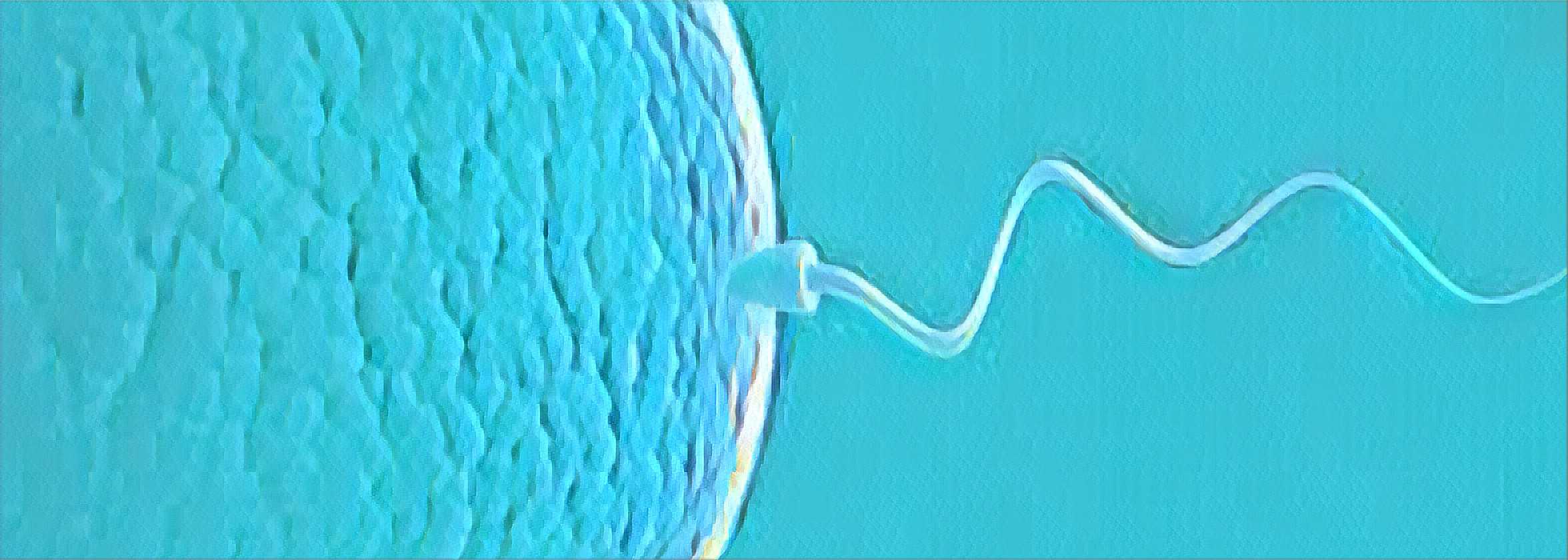 fazer para o especialista em infertilidade?