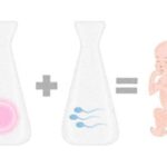 reprodução humana, bebê de proveta