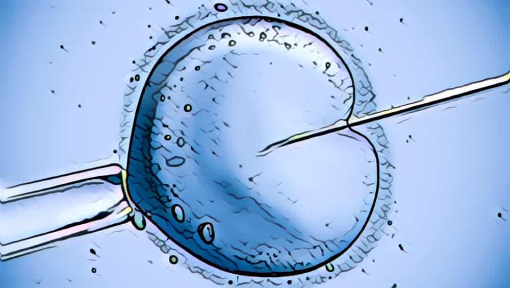 Fertilização in vitro - Fertilidade.org