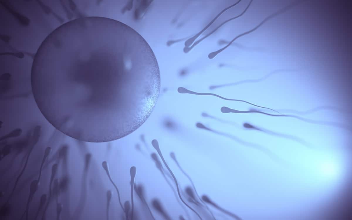 Quais os possíveis efeitos colaterais de um tratamento de fertilidade?