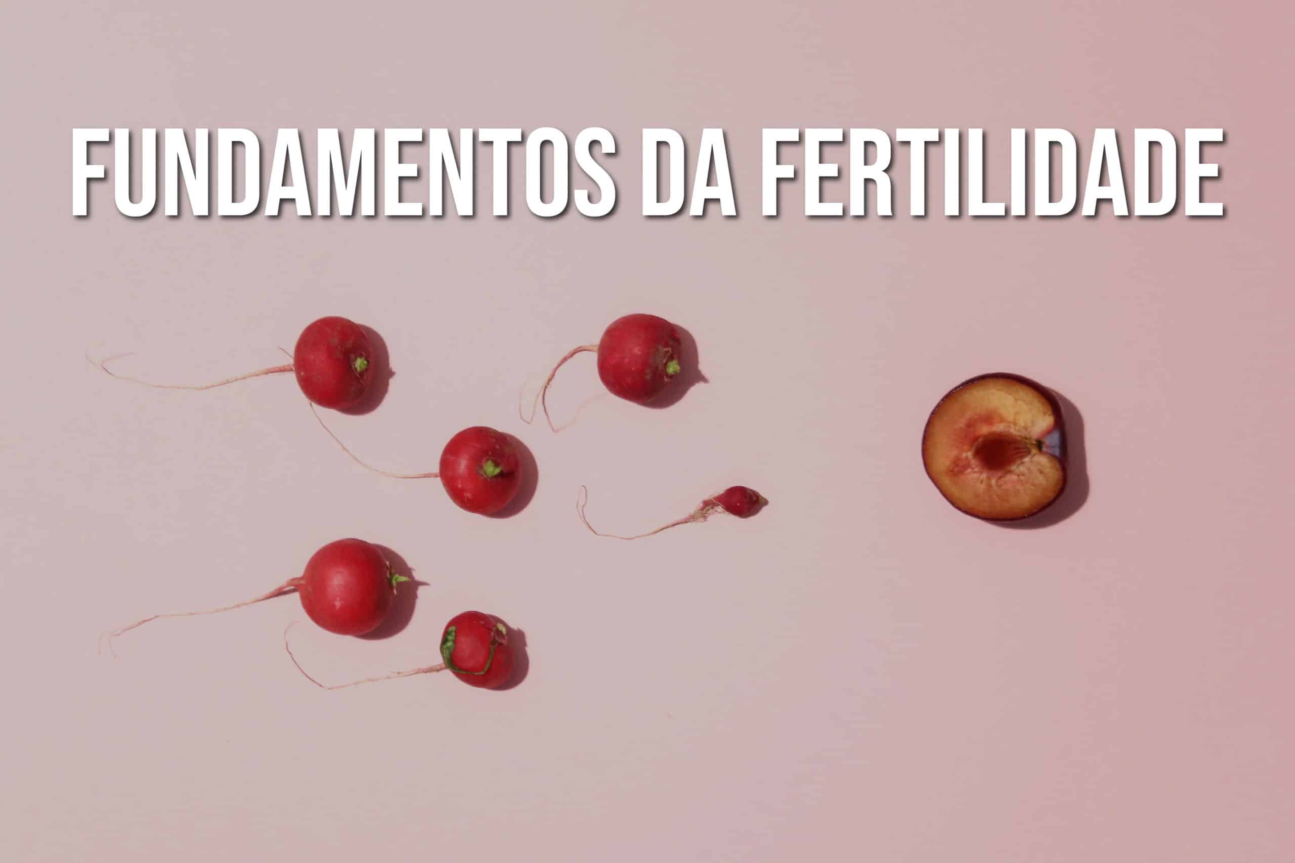 Fundamentos da fertilidade
