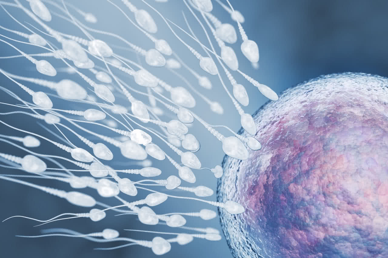 Imagem de fertilização in vitro para o artigo sobre o custo da FIV em 2021.