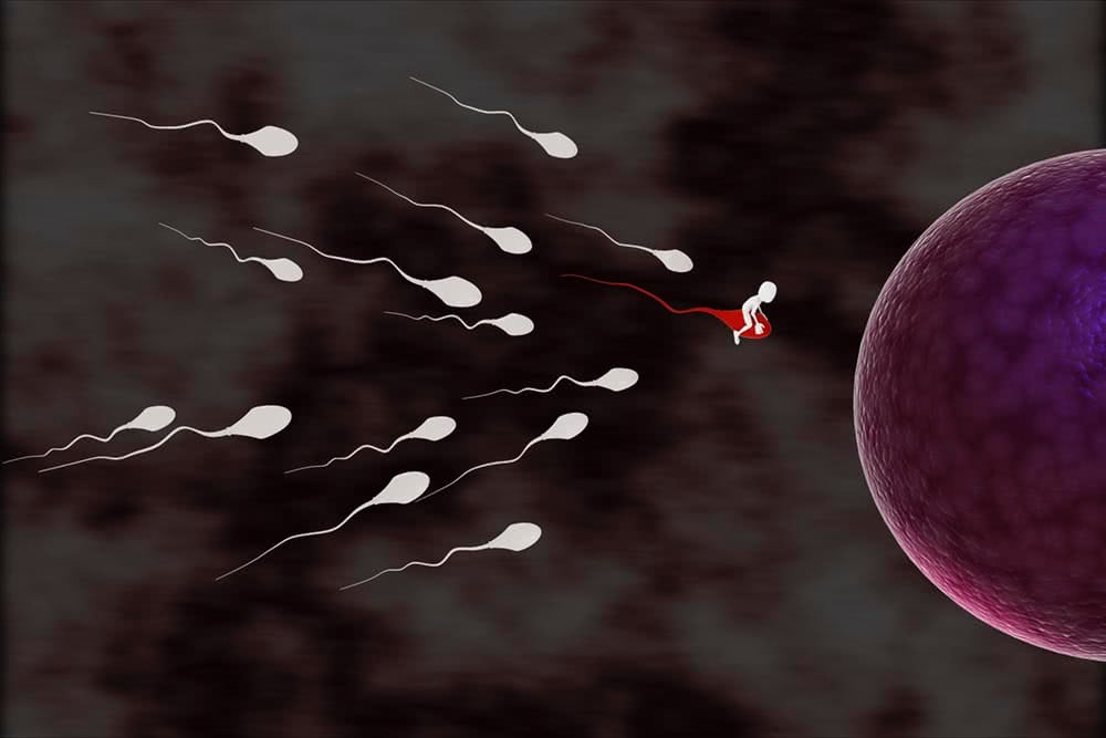 Imagem de um espermatozoide em formato de seta, representando a fertilidade masculina e o fator masculino na reprodução humana.