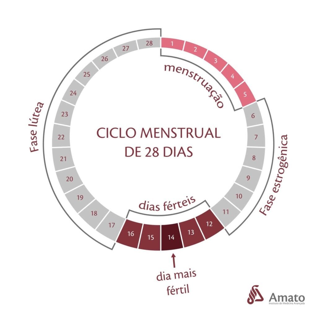 Menstruação e fertilidade: qual a relação?